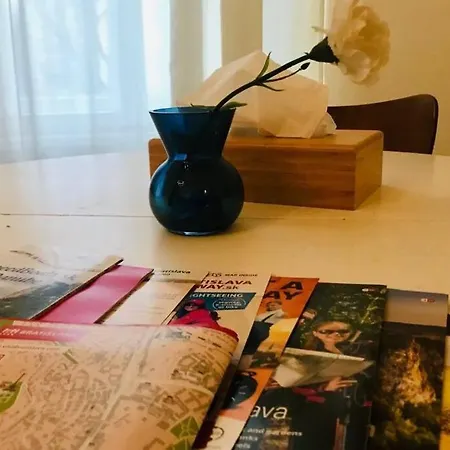 Cosy Sunny Studio, Old Town, * 布拉迪斯拉发